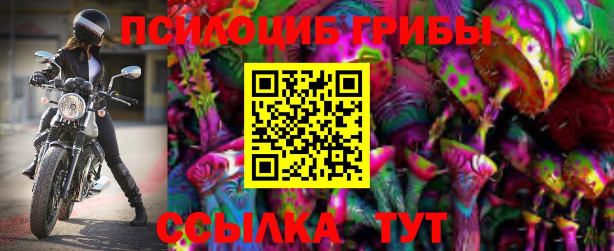Камышин  Псилоцибиновые грибы Psilocybe  Вход с VPN  цена наркотик  Псилоцибиновые грибы прущие грибы 