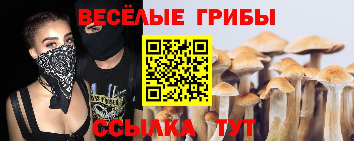 Галлюциногенные грибы мицелий Камышин